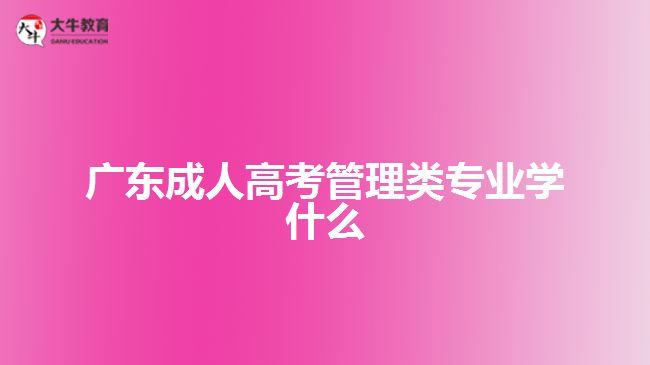 廣東成人高考管理類專業(yè)學什么