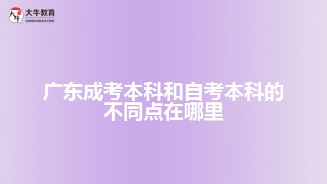 廣東成考本科和自考本科的不同點(diǎn)在哪里