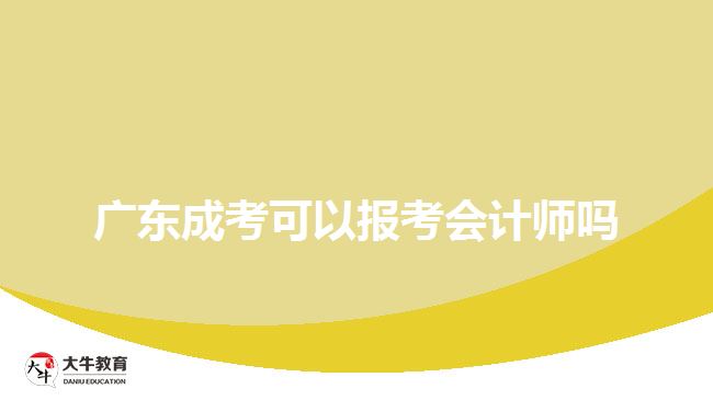 廣東成考可以報考會計師嗎