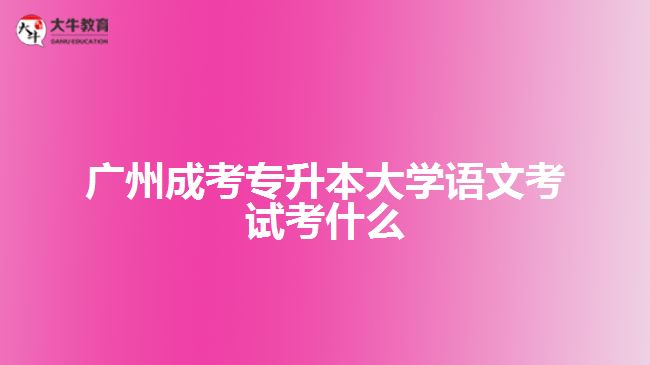 廣州成考專升本大學(xué)語文考試考什么