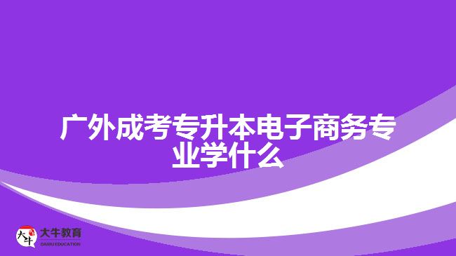 廣外成考專升本電子商務(wù)專業(yè)學(xué)什么