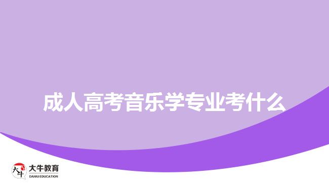 成人高考音樂(lè)學(xué)專(zhuān)業(yè)考什么