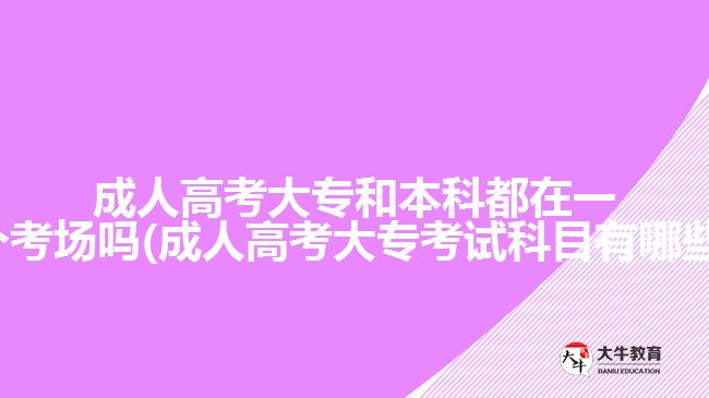 成人高考大專和本科都在一個考場嗎(成人高考大專考試科目有哪些)