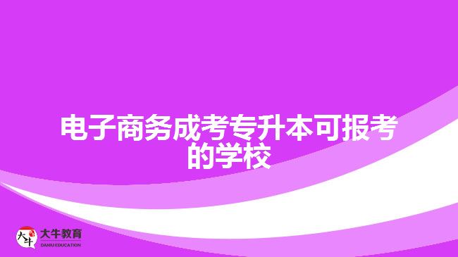 電子商務(wù)成考專升本可報考的學(xué)校