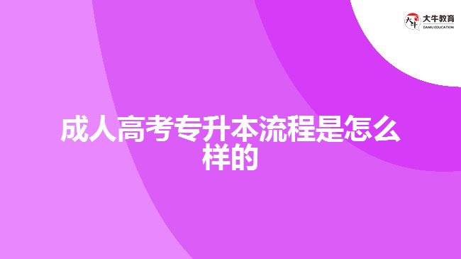 成人高考專升本流程是怎么樣的