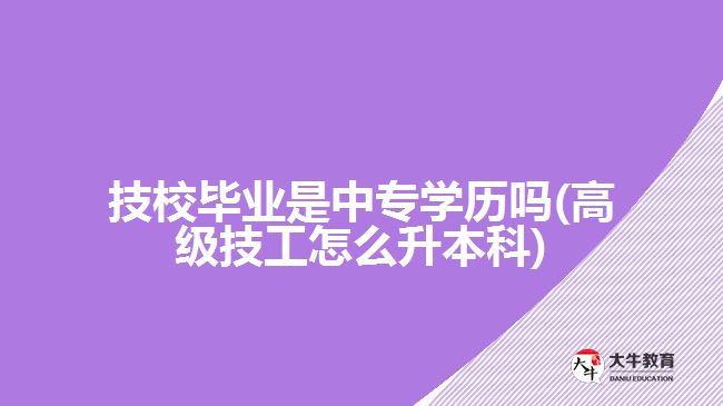 技校畢業(yè)是中專學(xué)歷嗎(高級(jí)技工怎么升本科)