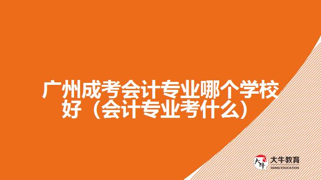 廣州成考會計專業(yè)哪個學校好（會計專業(yè)考什么）