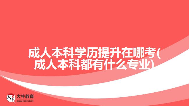 成人本科學歷提升在哪考(成人本科都有什么專業(yè))