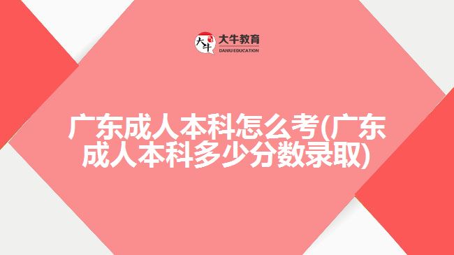 廣東成人本科怎么考(廣東成人本科多少分數(shù)錄取)