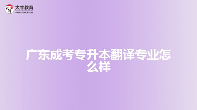 廣東成考專升本翻譯專業(yè)怎么樣