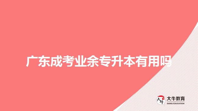 廣東成考業(yè)余專升本有用嗎