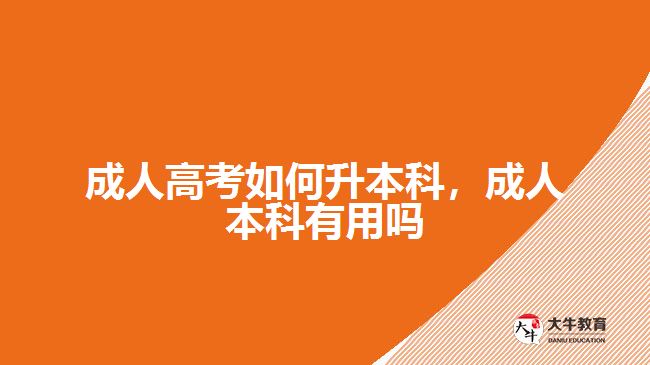 成人高考如何升本科，成人本科有用嗎