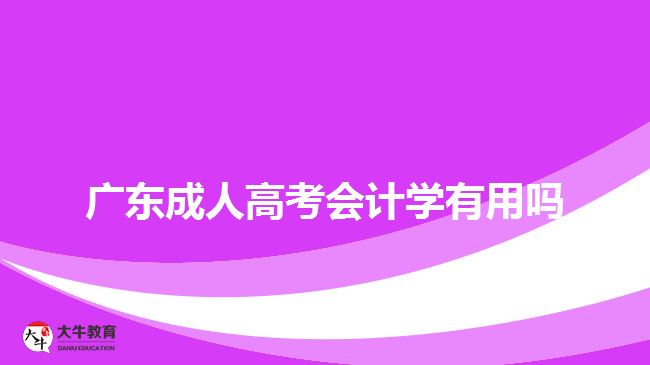 廣東成人高考會計學有用嗎