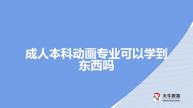 成人本科動畫專業(yè)可以學(xué)到東西嗎