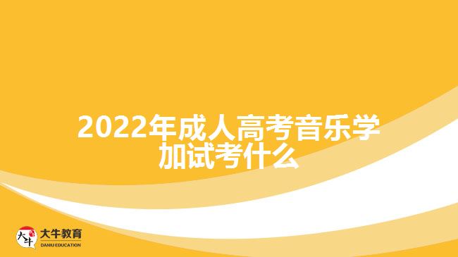 2022年成人高考音樂學(xué)加試考什么