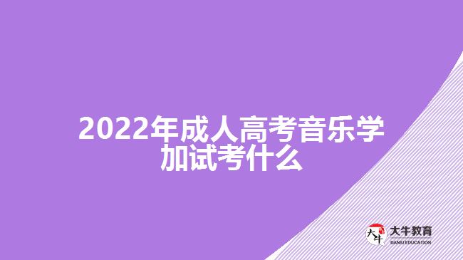 2022年成人高考音樂學加試考什么