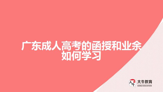 廣東成人高考的函授和業(yè)余如何學(xué)習