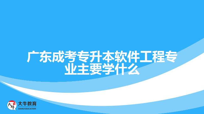 廣東成考專升本軟件工程專業(yè)主要學(xué)什么