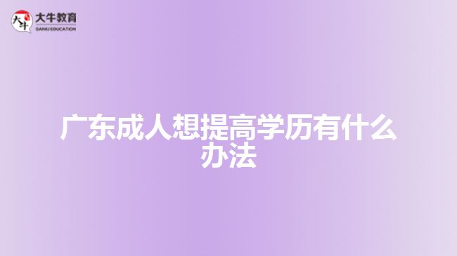 廣東成人想提高學(xué)歷有什么辦法