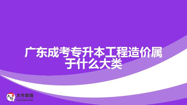 廣東成考專升本工程造價(jià)屬于什么大類