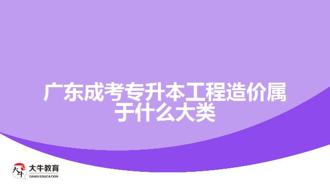 廣東成考專升本工程造價(jià)屬于什么大類