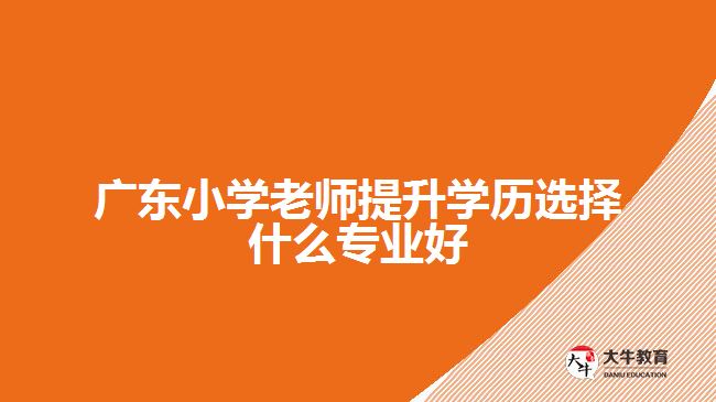 廣東小學老師提升學歷選擇什么專業(yè)好