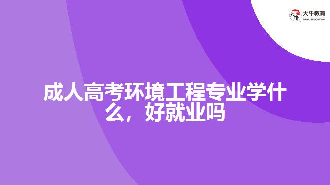 成人高考環(huán)境工程專業(yè)學什么