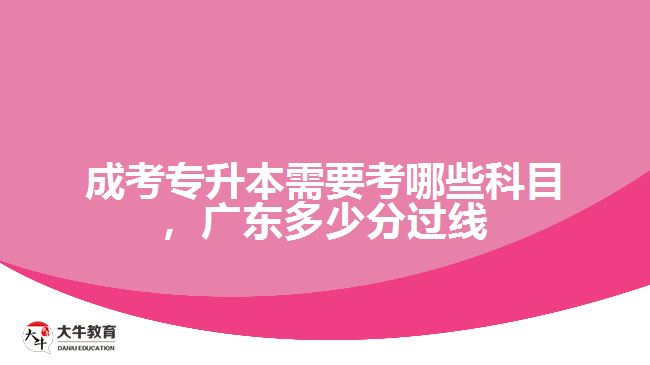 成考專升本需要考哪些科目，廣東多少分過線