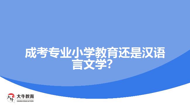 成考專業(yè)小學(xué)教育還是漢語言文學(xué)？