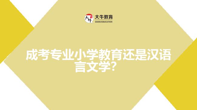 成考小學(xué)教育還是漢語言文學(xué)？