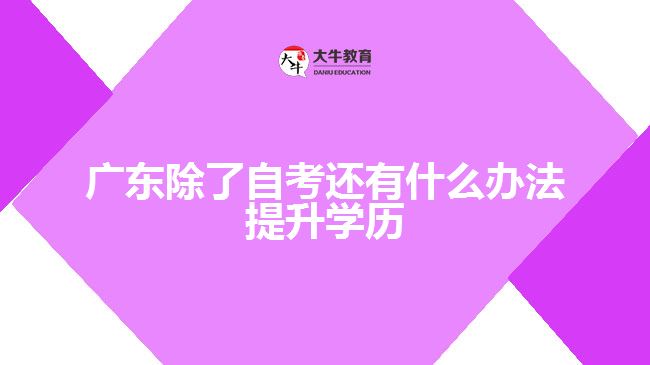 廣東除了自考還有什么辦法提升學(xué)歷