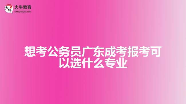 想考公務(wù)員廣東成考報(bào)考可以選什么專業(yè)