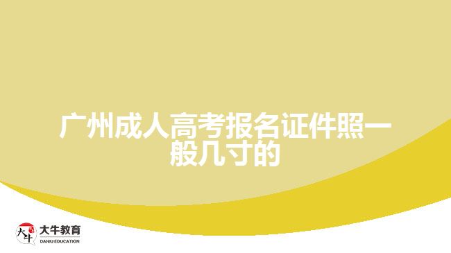 廣州成人高考報名證件照一般幾寸的