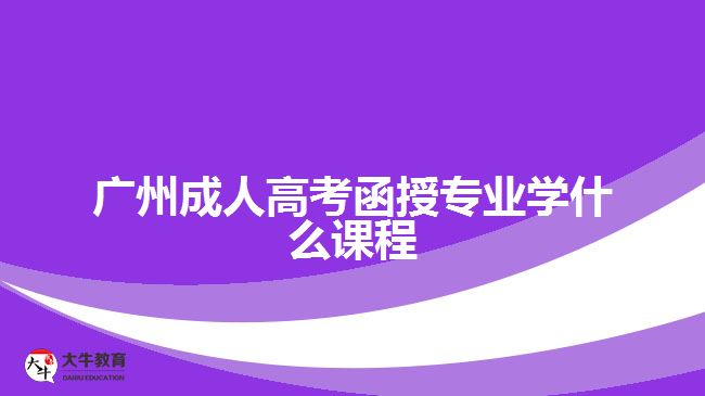 廣州成人高考函授專業(yè)學(xué)什么課程