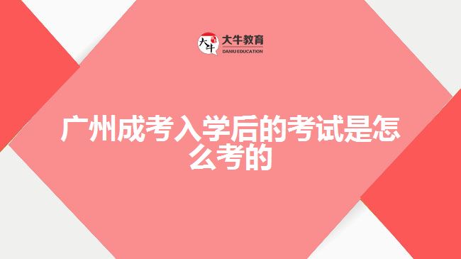 廣州成考入學(xué)后的考試是怎么考的