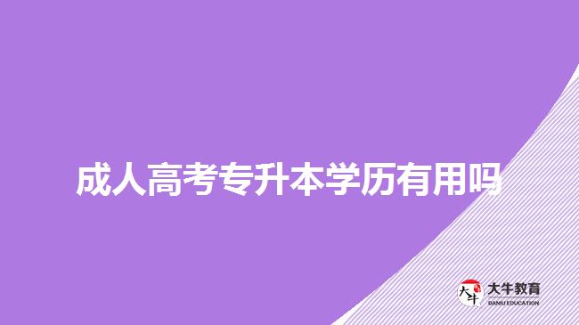 成人高考專升本學(xué)歷有用嗎