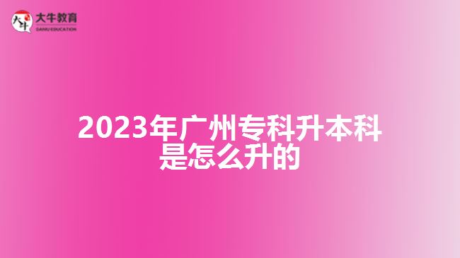 2023年廣州?？粕究剖窃趺瓷? width='170' height='105'/></a></dt>
						<dd><a href=