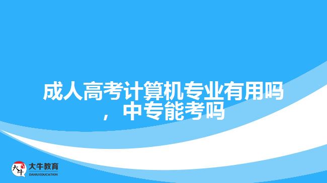 成考計(jì)算機(jī)專業(yè)有用嗎，中專能考嗎