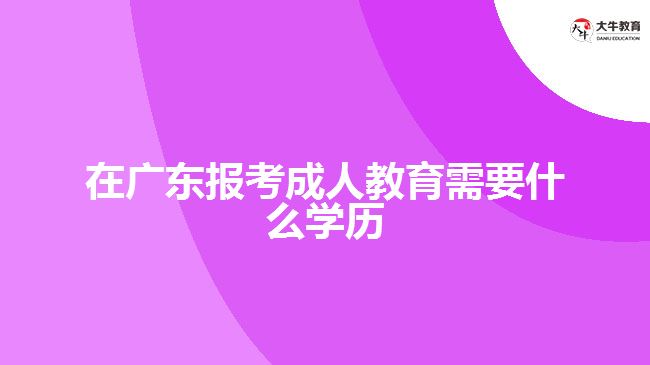 在廣東報(bào)考成人教育需要什么學(xué)歷