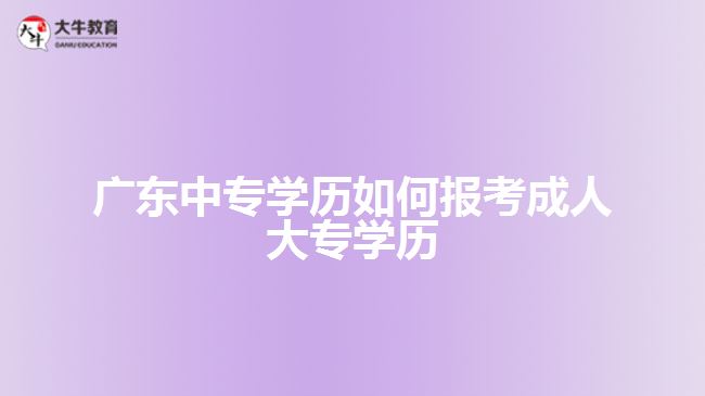 廣東中專學(xué)歷如何報考成人大專學(xué)歷