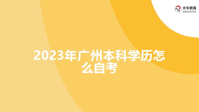 2023年廣州本科學(xué)歷怎么自考