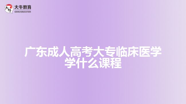 廣東成人高考大專臨床醫(yī)學學什么課程