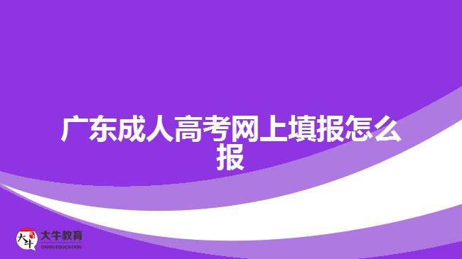 廣東成人高考網(wǎng)上填報(bào)怎么報(bào)