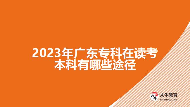 2023年廣東?？圃谧x考本科有哪些途徑