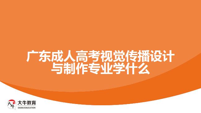 廣東成人高考視覺傳播設(shè)計與制作專業(yè)學(xué)什么