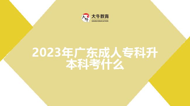 2023年廣東成人專(zhuān)科升本科考什么