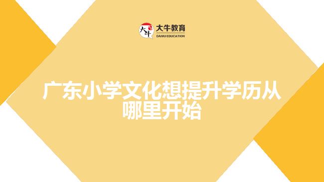 廣東小學(xué)文化想提升學(xué)歷從哪里開始