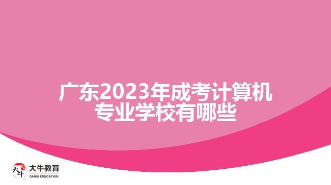 廣東2023年成考計(jì)算機(jī)專業(yè)學(xué)校有哪些