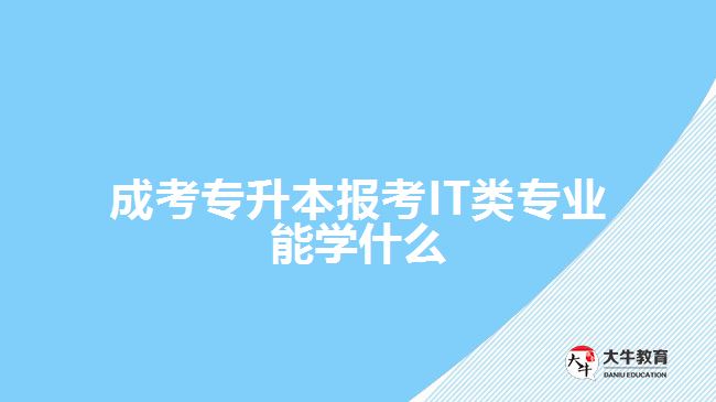 成考專升本報(bào)考IT類(lèi)專業(yè)能學(xué)什么