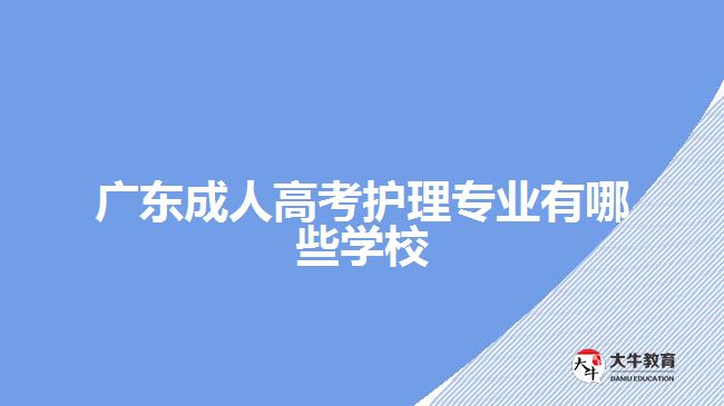 廣東成人高考護(hù)理專業(yè)有哪些學(xué)校